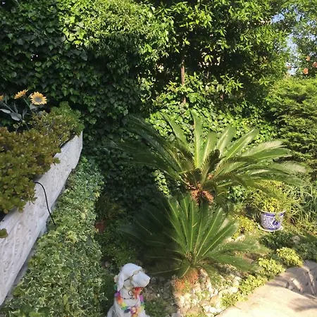 Вилла Valery In *